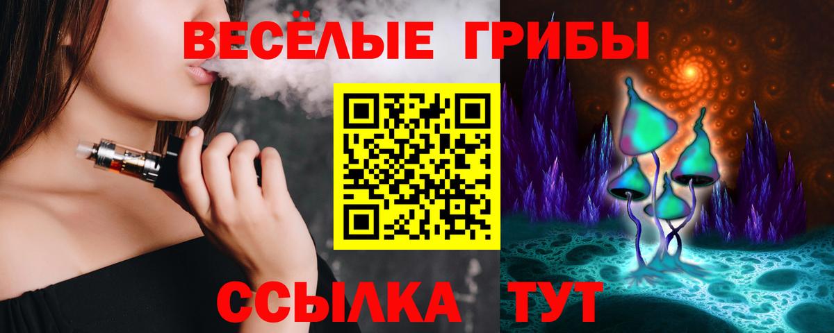 Псилоцибиновые грибы GOLDEN TEACHER Муром